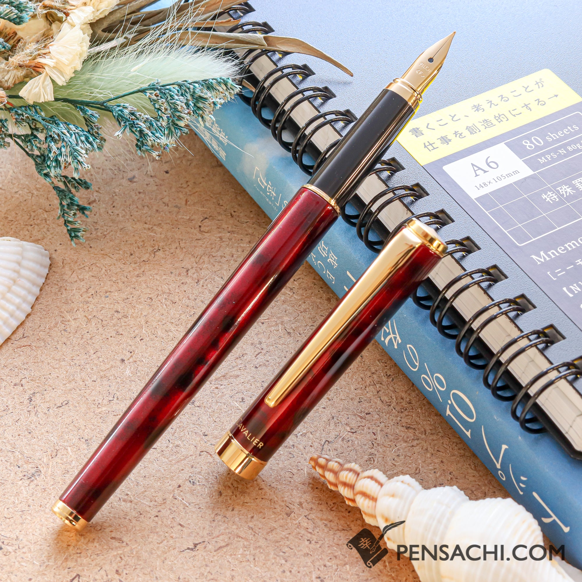 PILOT Cavalier Fountain Pen - Marble Red | PenSachi - Japan