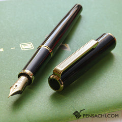 SAILOR Young Profit Fountain Pen - Black Gold - PenSachi Japanese Limited Fountain Pen