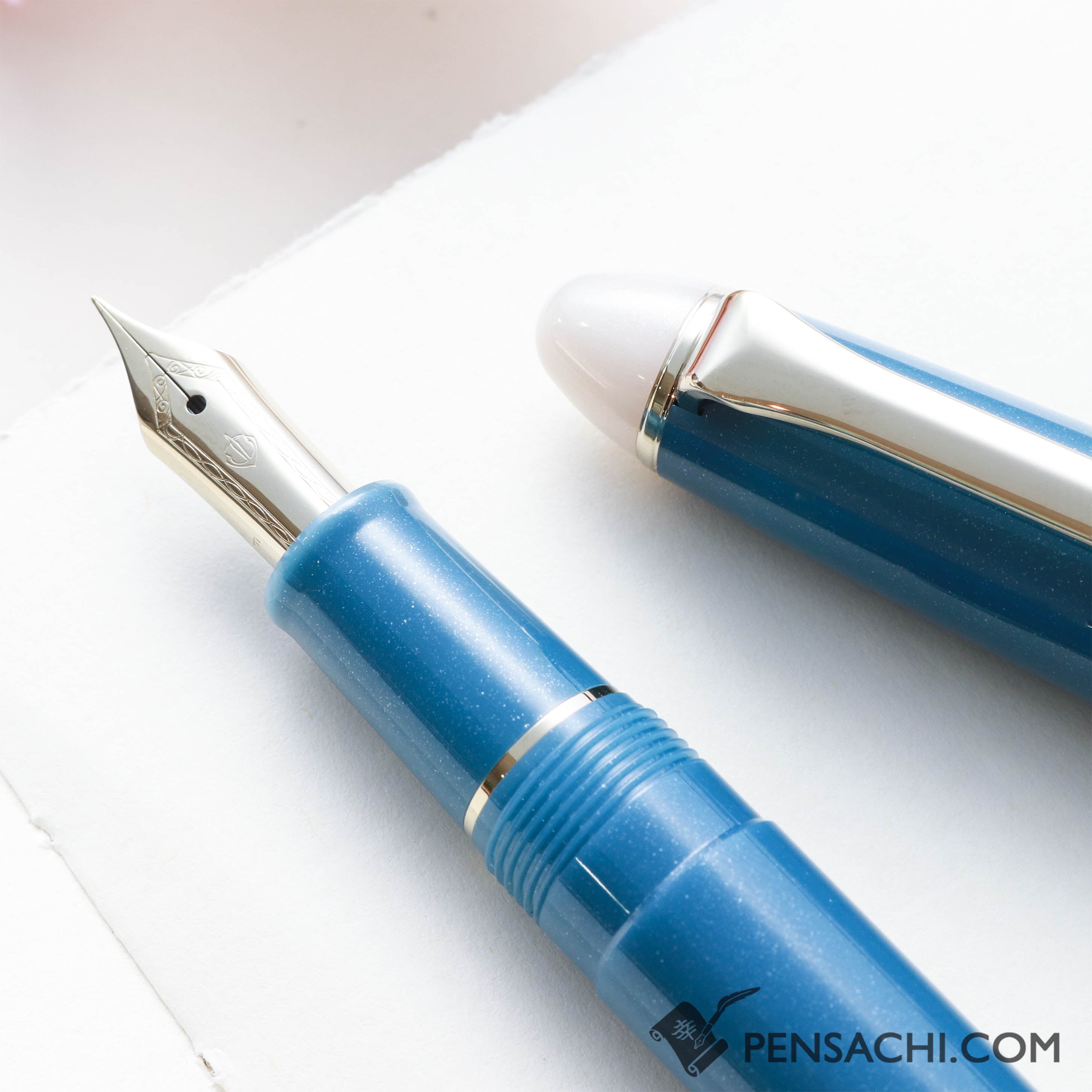 SAILOR 1911 Profit Pro-Color Shikiori Fountain Pen - Frosty Night