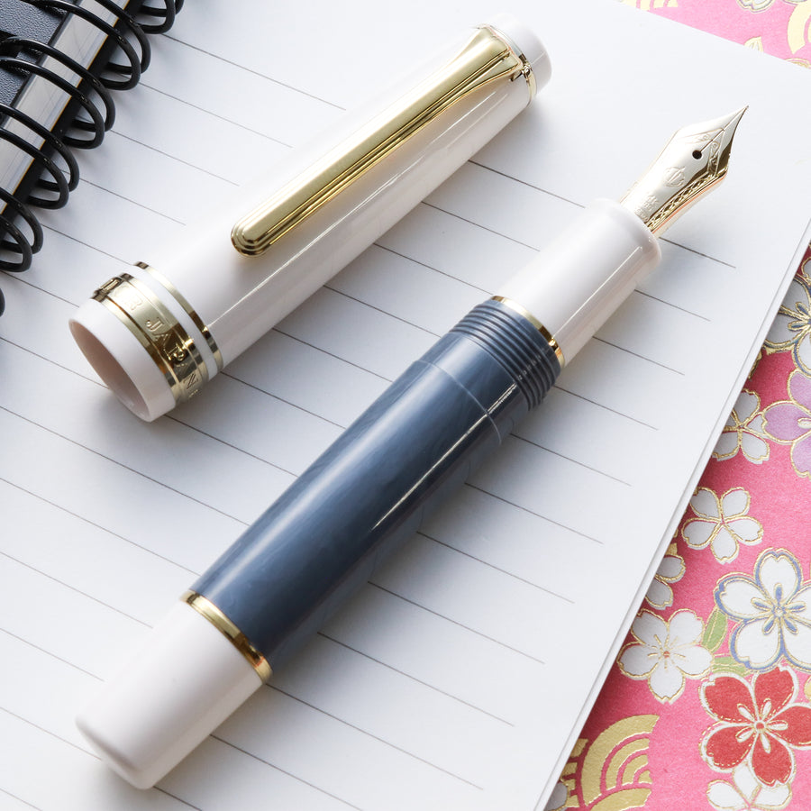 SAILOR Pro Gear Slim Mini Fountain Pen Rencontre - Gris Fer - PenSachi Japanese Limited Fountain Pen