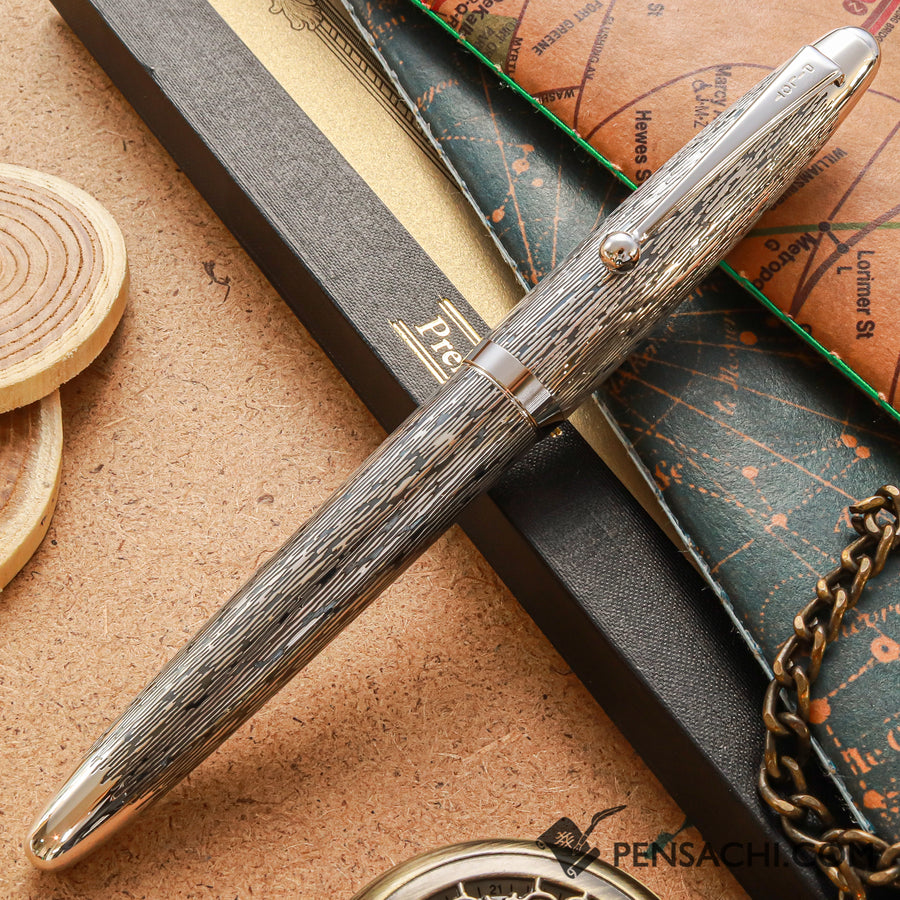 Pilot silvern fountain pen Clearance