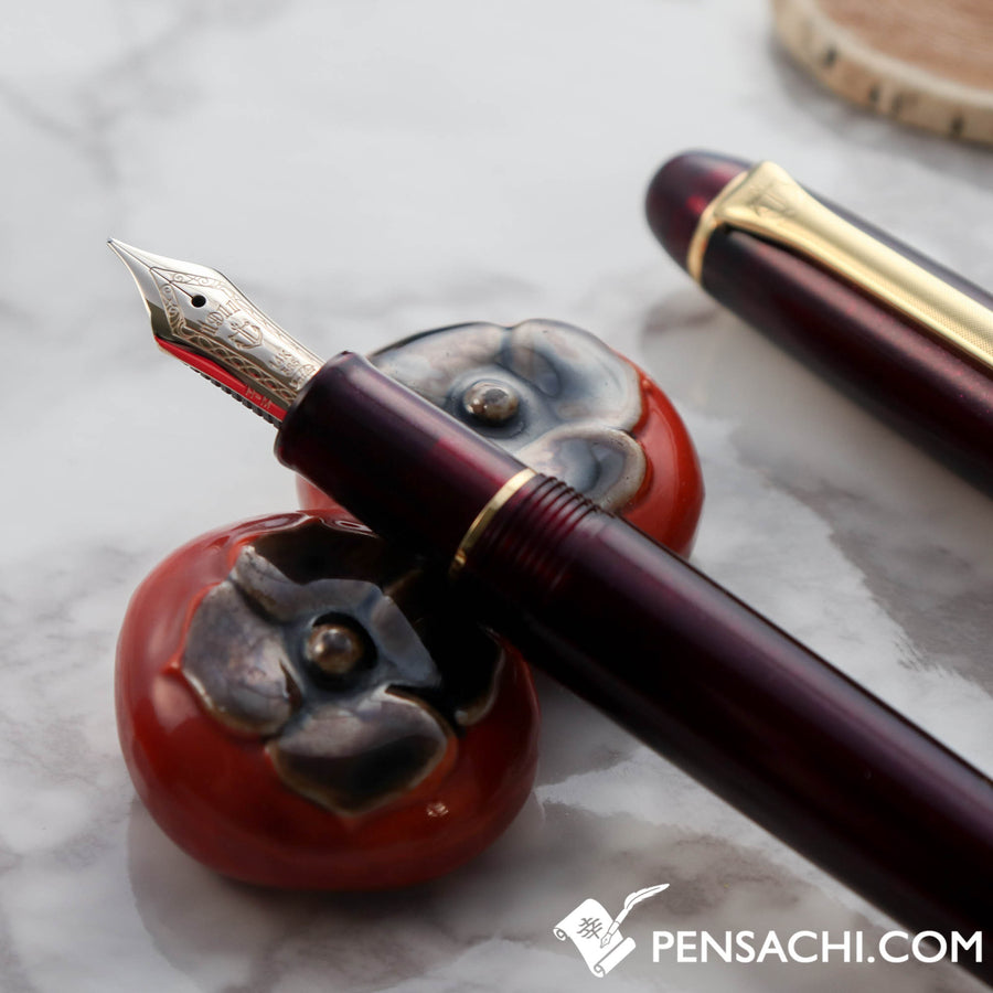 SAILOR Promenade Fountain Pen - Sparkling Red Gold - PenSachi Japanese Limited Fountain Pen