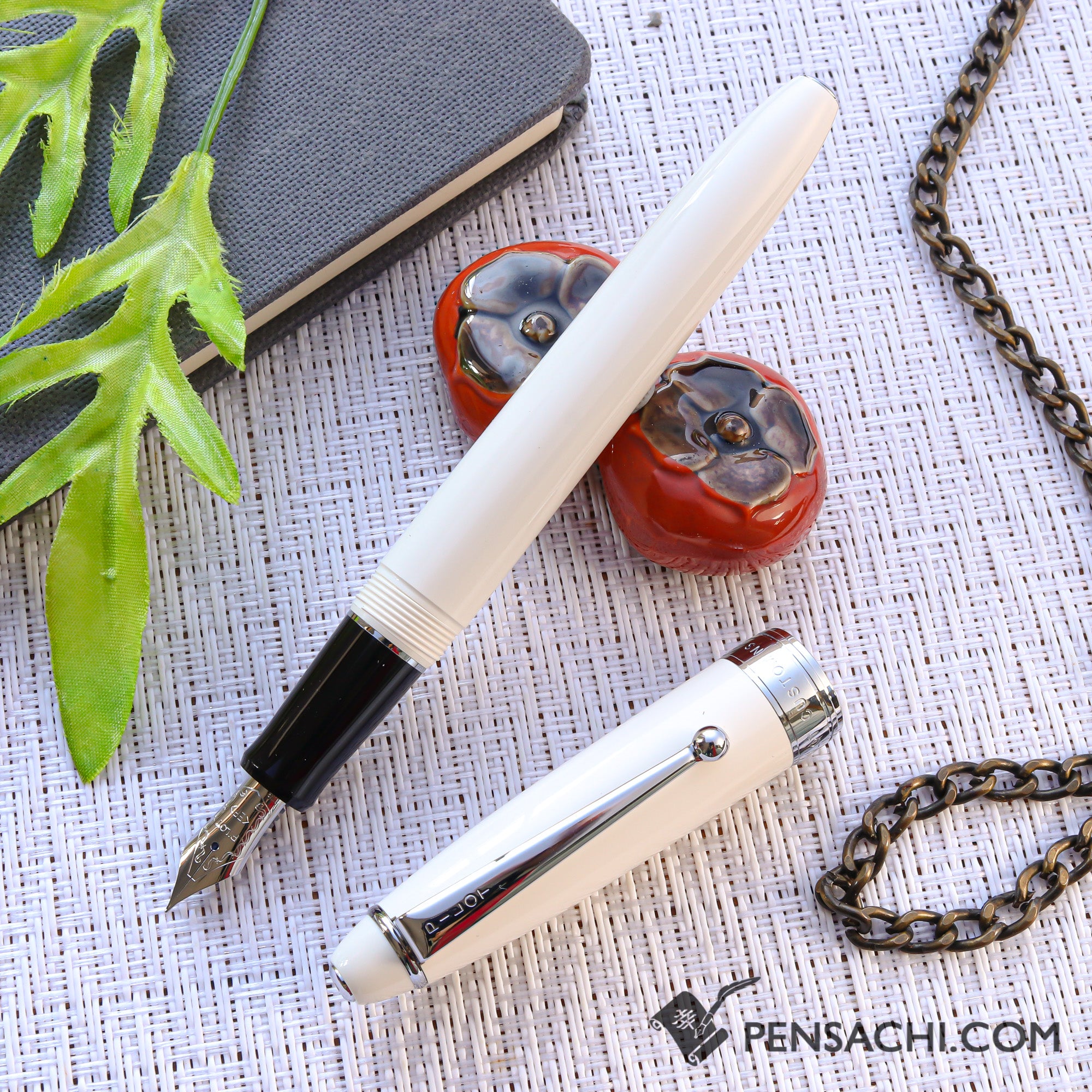 PILOT Custom NS Silver Accents Stainless Steel Nib Fountain Pen
