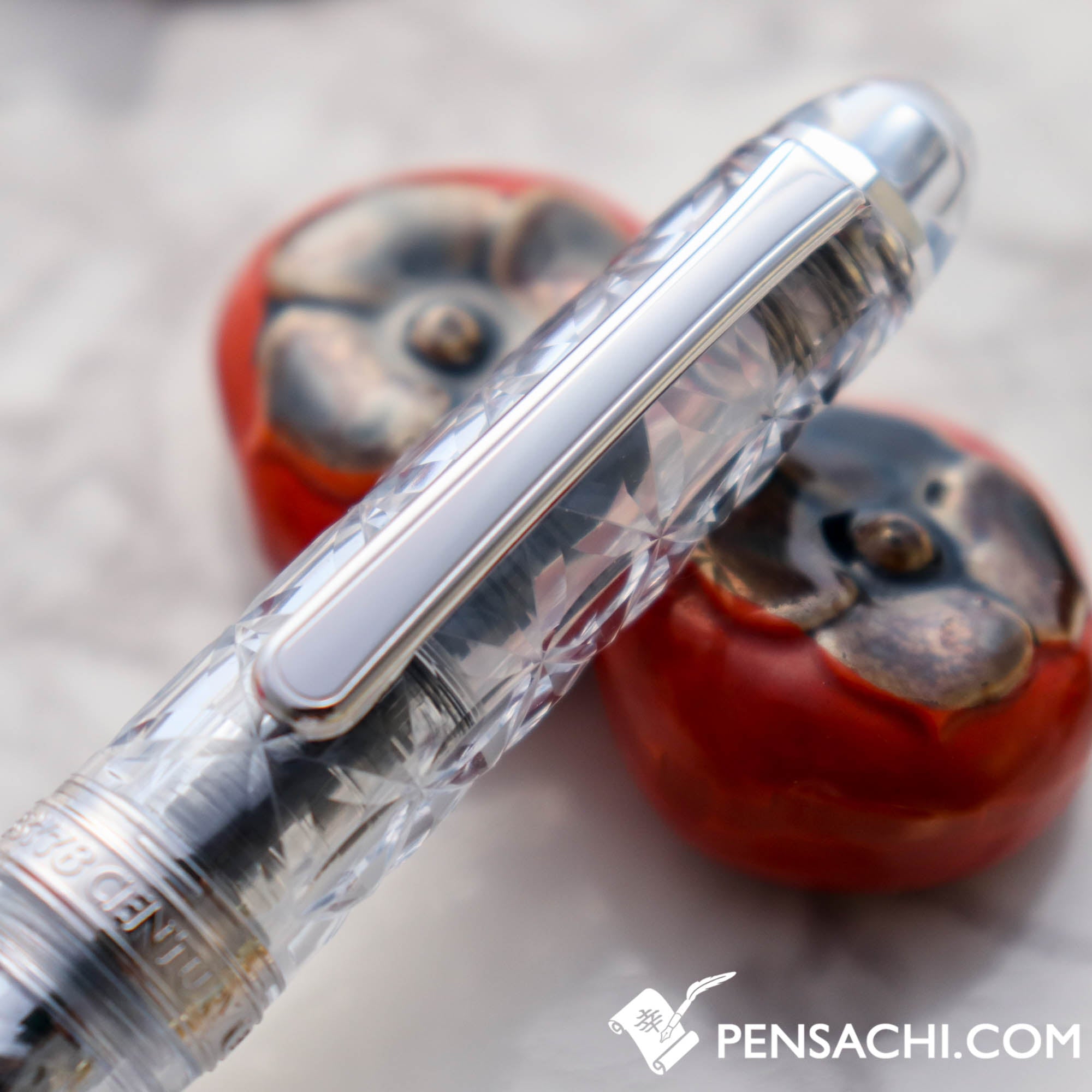 PLATINUM Limited Edition #3776 Century Fountain Pen - Rokka
