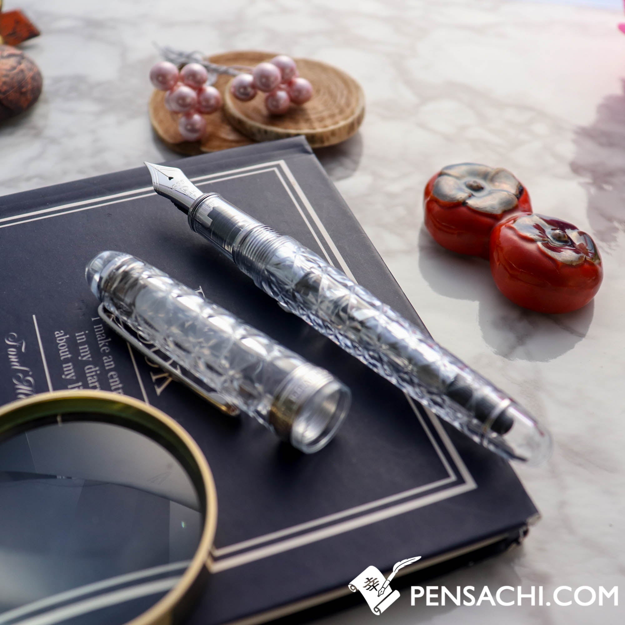PLATINUM Limited Edition #3776 Century Fountain Pen - Rokka
