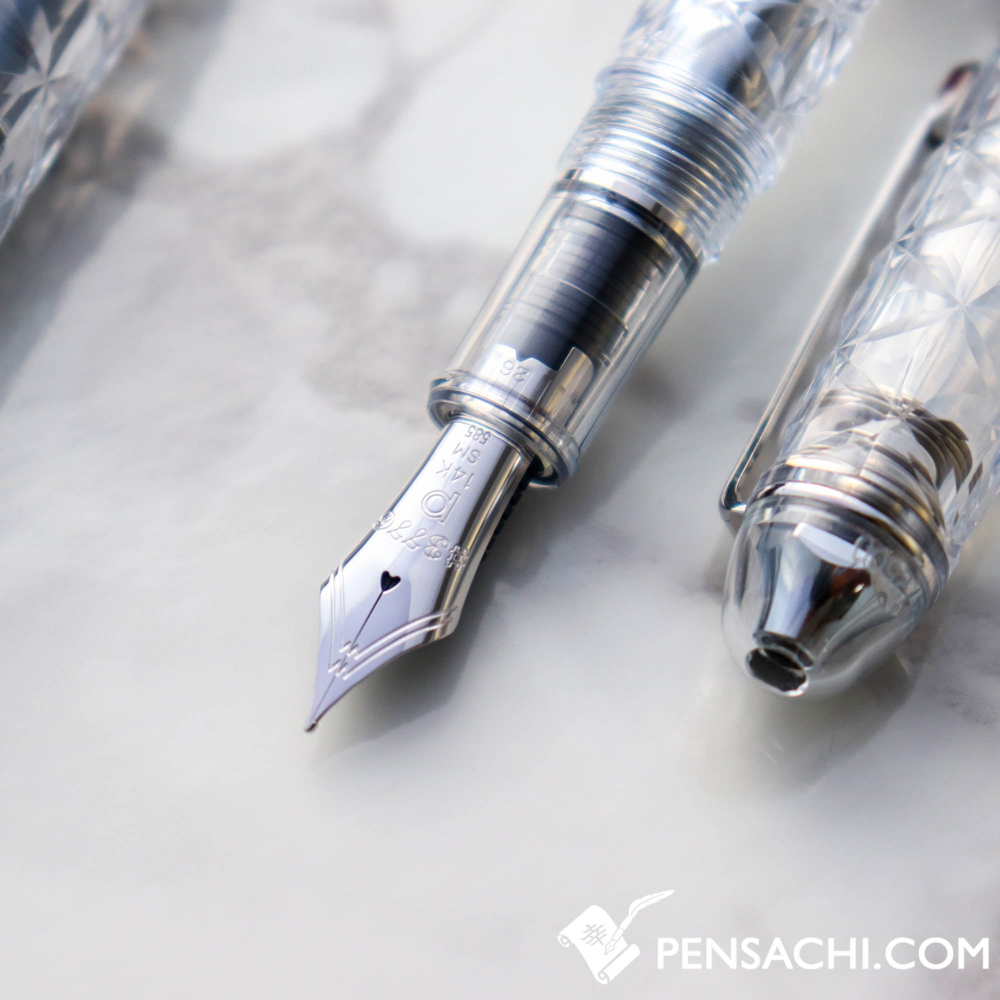 プラチナ Platinum #3776 センチュリー 六花 rokka SM PLATINUM Limited Edition #3776 Century Fountain Pen - Rokka