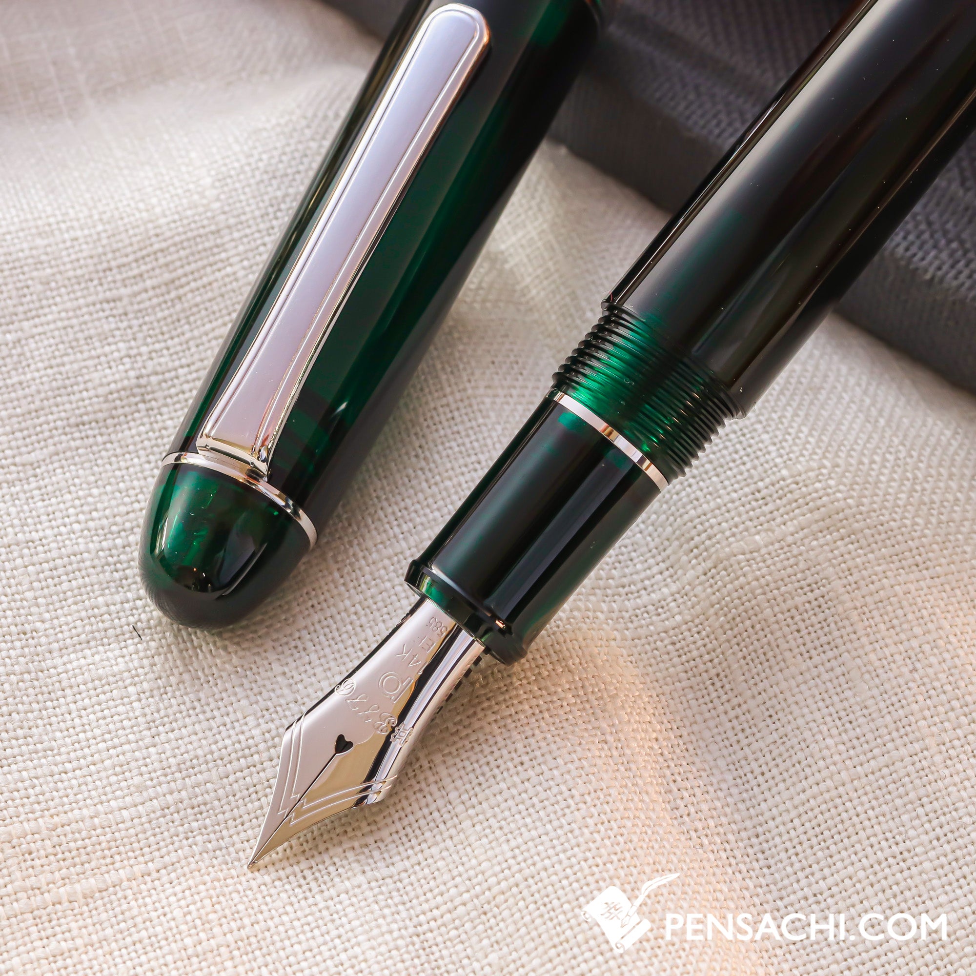 PLATINUM #3776 Century Rhodium Fountain Pen - Laurel Green– PenSachi