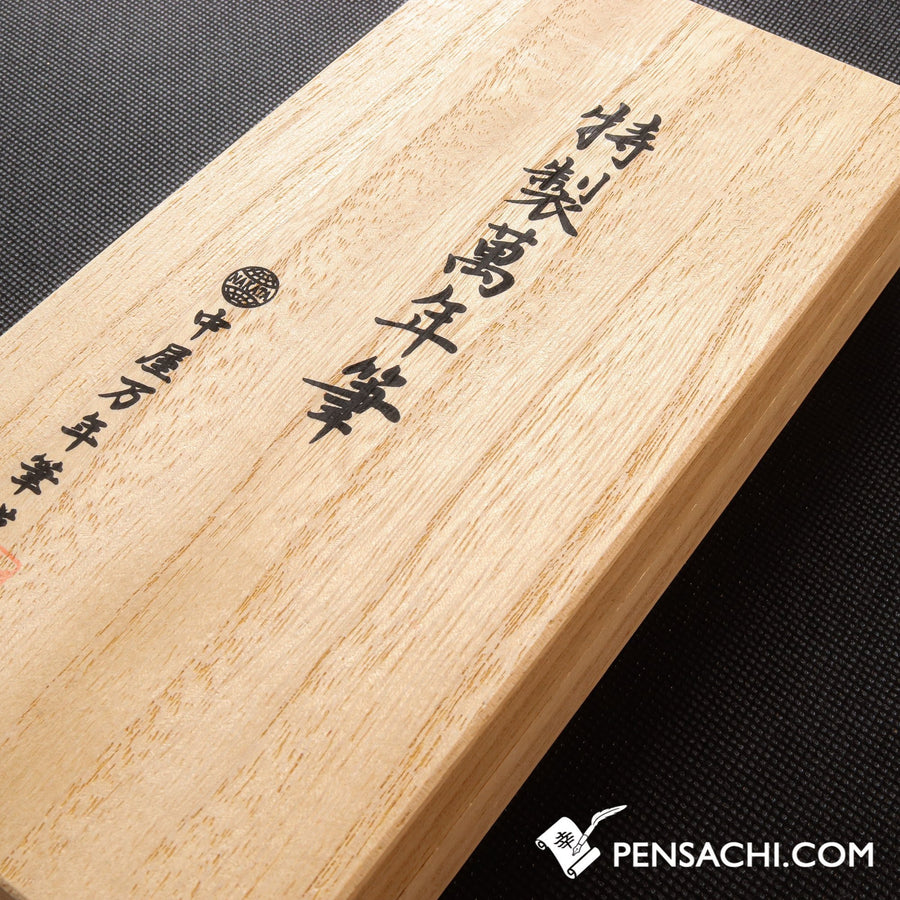 Nakaya Dorsal Fin  (ver.2) Kuro-tamenuri  [no.07101] - PenSachi Japanese Limited Fountain Pen