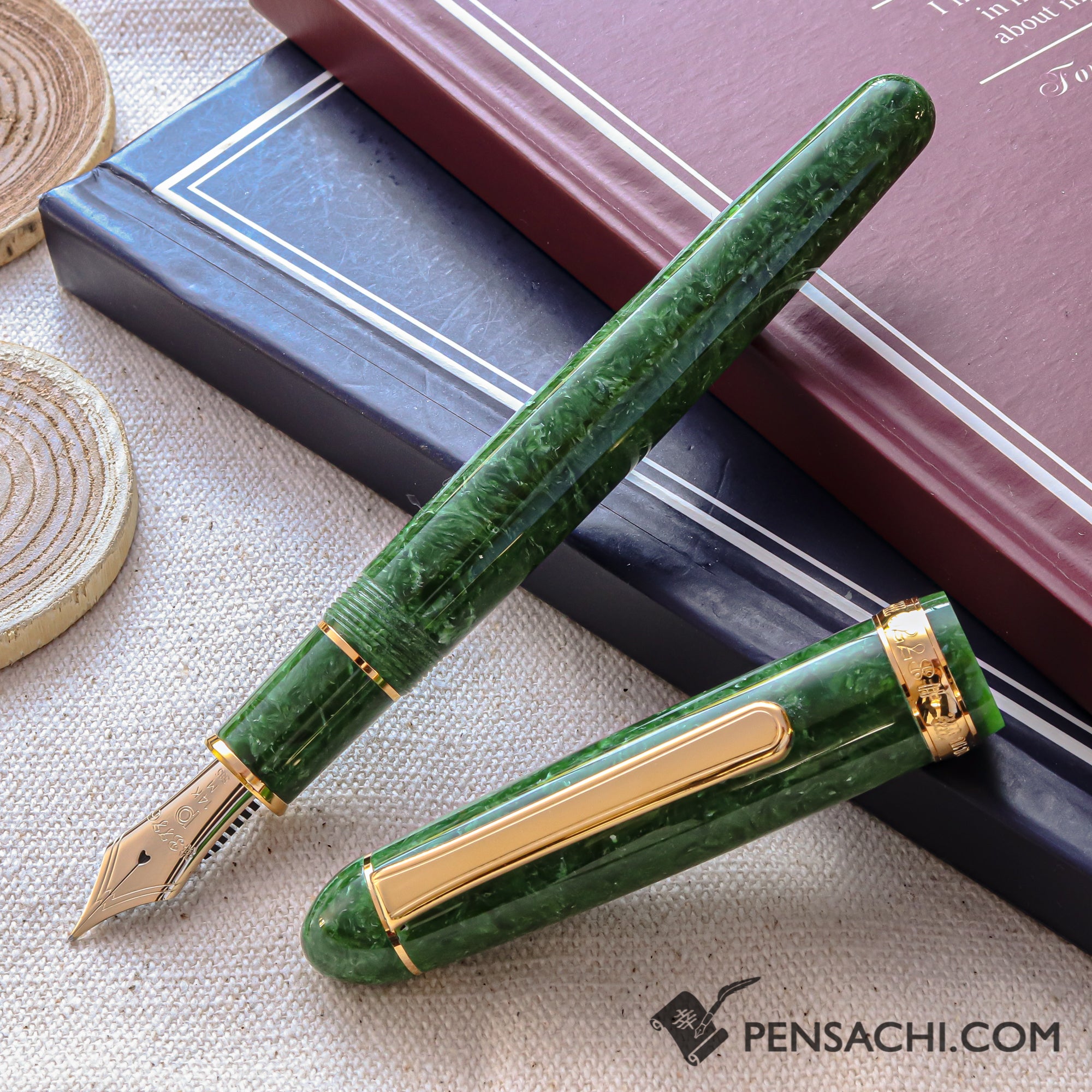 PLATINUM #3776 Century Celluloid Fountain Pen - Emerald | PenSachi