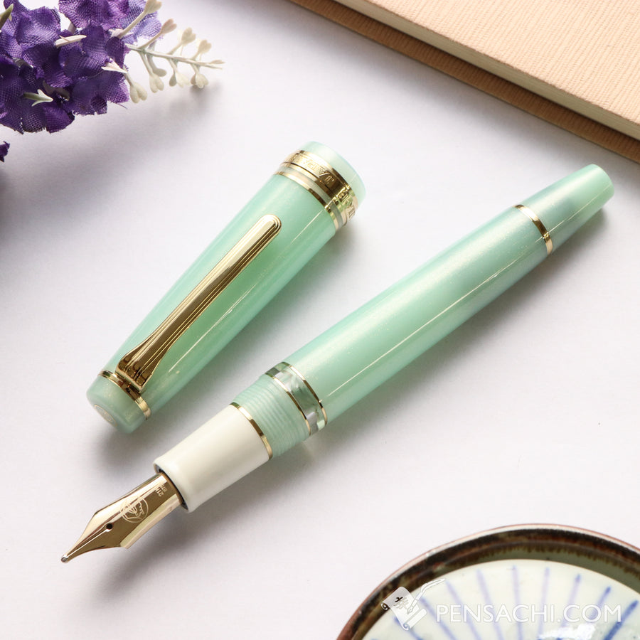 SAILOR Limited Edition Pro Gear Realo Fountain Pen - Mint - PenSachi Japanese Limited Fountain Pen