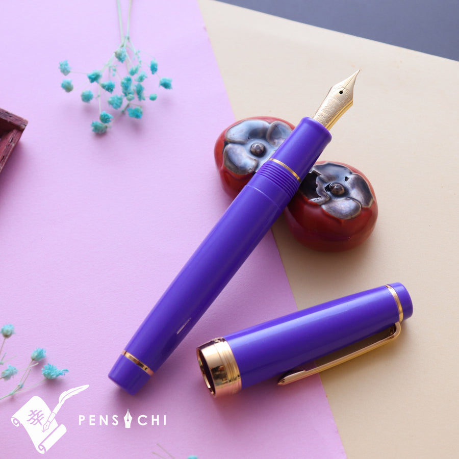 SAILOR Limited Edition Pro Gear Classic Fountain Pen - Purple - PenSachi Japanese Limited Fountain Pen