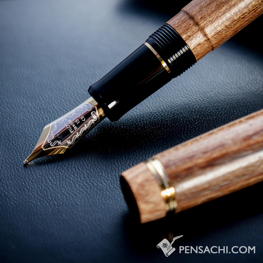 PILOT Custom Enjyu Fountain Pen - Enjyu Mokume - PenSachi Japanese Limited Fountain Pen