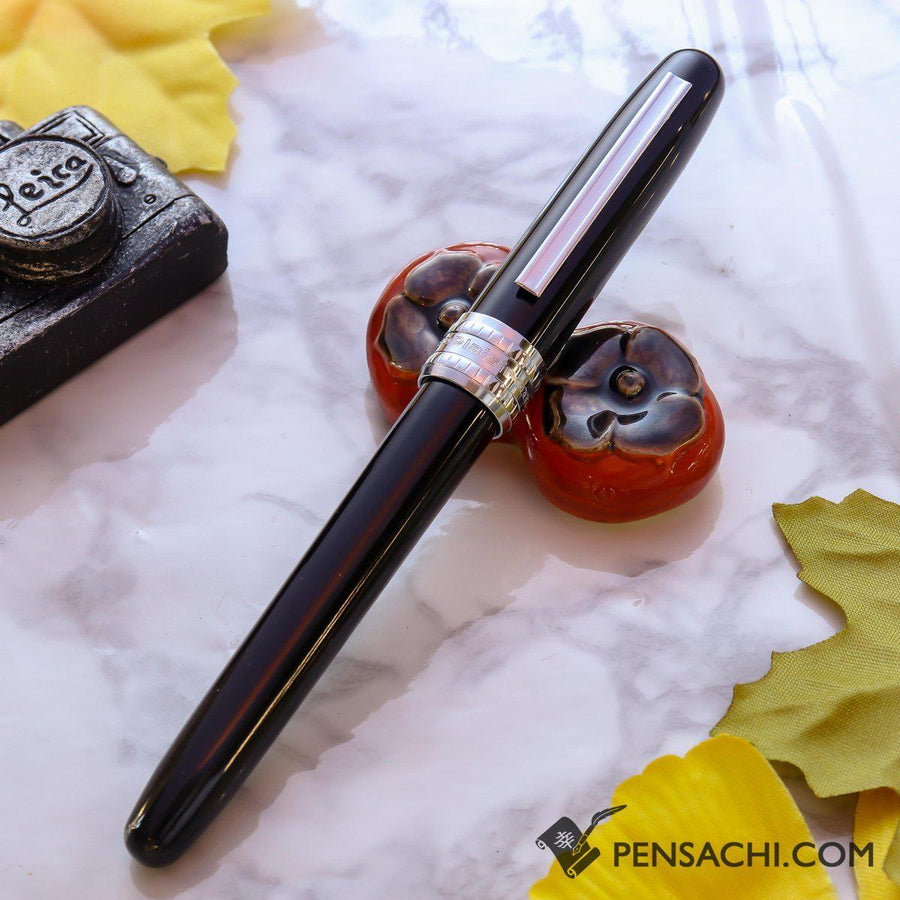 PLATINUM Plaisir Fountain Pen - Black - PenSachi Japanese Limited Fountain Pen