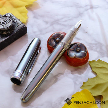 PLATINUM Plaisir Fountain Pen - Gunmetal - PenSachi Japanese Limited Fountain Pen