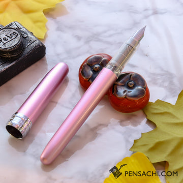PLATINUM Plaisir Fountain Pen - Pink - PenSachi Japanese Limited Fountain Pen