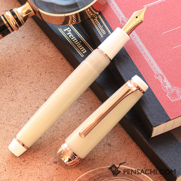 SAILOR Limited Edition Pro Gear Slim Fountain Pen - Ginsekai - PenSachi Japanese Limited Fountain Pen