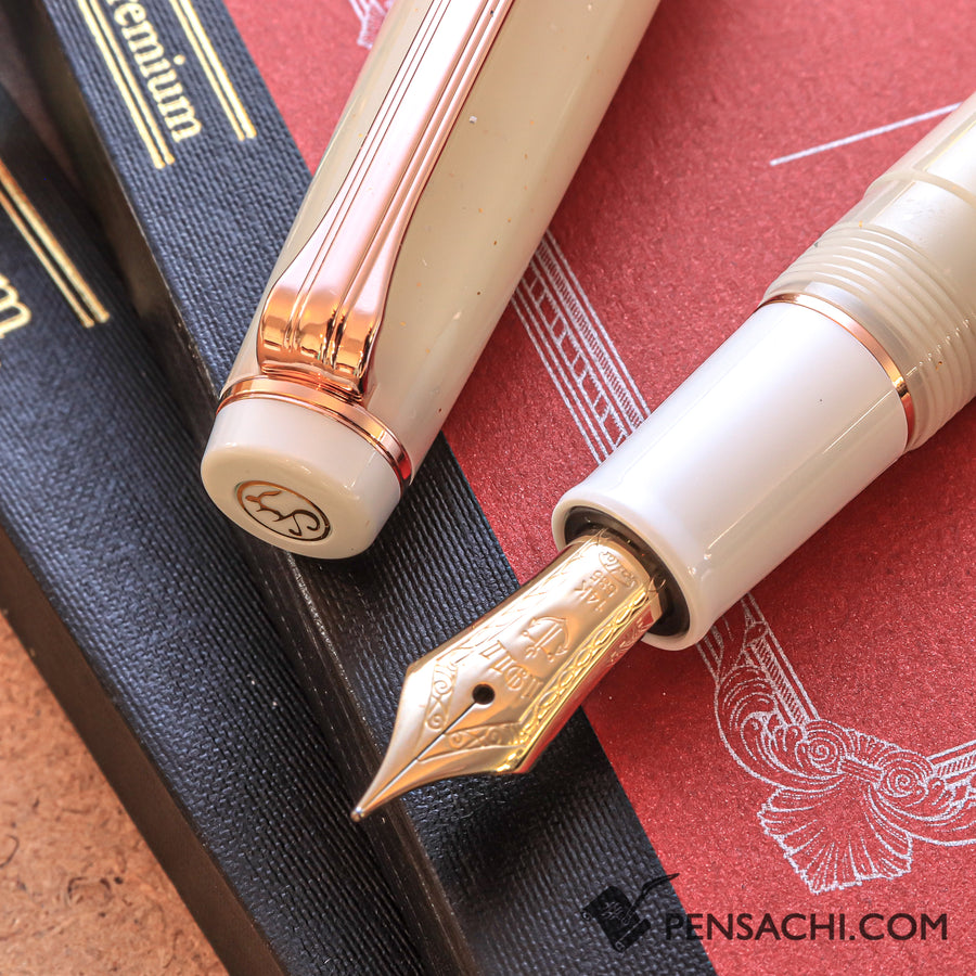 SAILOR Limited Edition Pro Gear Slim Fountain Pen - Ginsekai - PenSachi Japanese Limited Fountain Pen