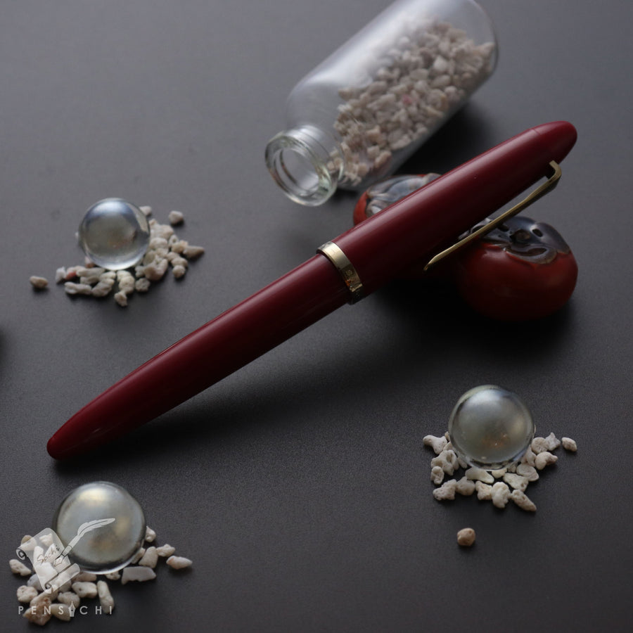 Sailor 1911 profit professor Clearance