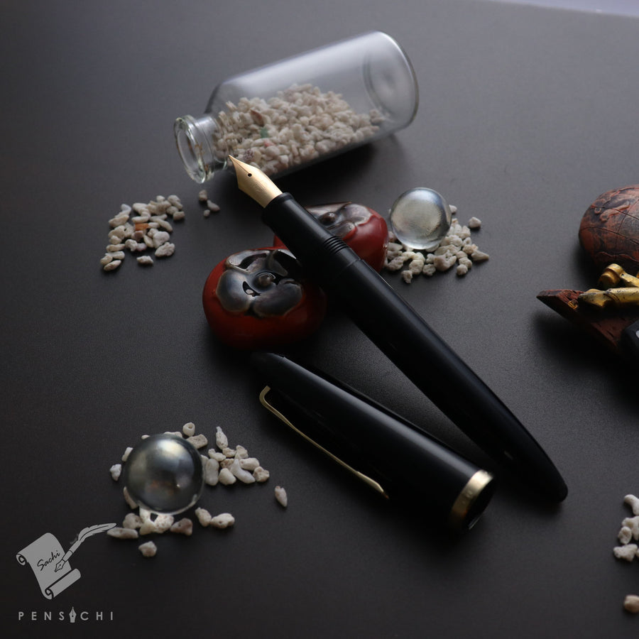 SAILOR 1911 Profit Professor Fountain Pen - Black - PenSachi Japanese Limited Fountain Pen