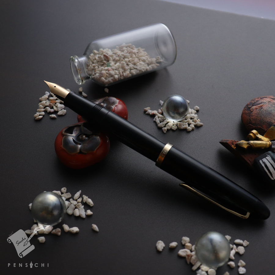 SAILOR 1911 Profit Professor Fountain Pen - Black - PenSachi Japanese Limited Fountain Pen