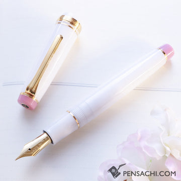 SAILOR Limited Edition Pro Gear Fountain Pen Set - Shimaenaga - PenSachi Japanese Limited Fountain Pen