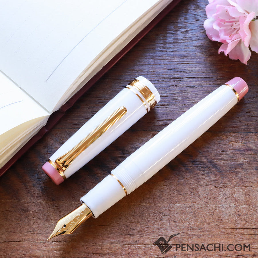 SAILOR Limited Edition Pro Gear Fountain Pen Set - Shimaenaga - PenSachi Japanese Limited Fountain Pen