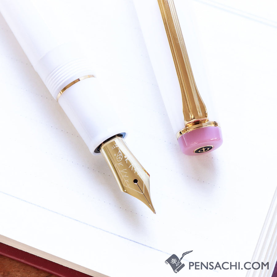 SAILOR Limited Edition Pro Gear Fountain Pen Set - Shimaenaga - PenSachi Japanese Limited Fountain Pen