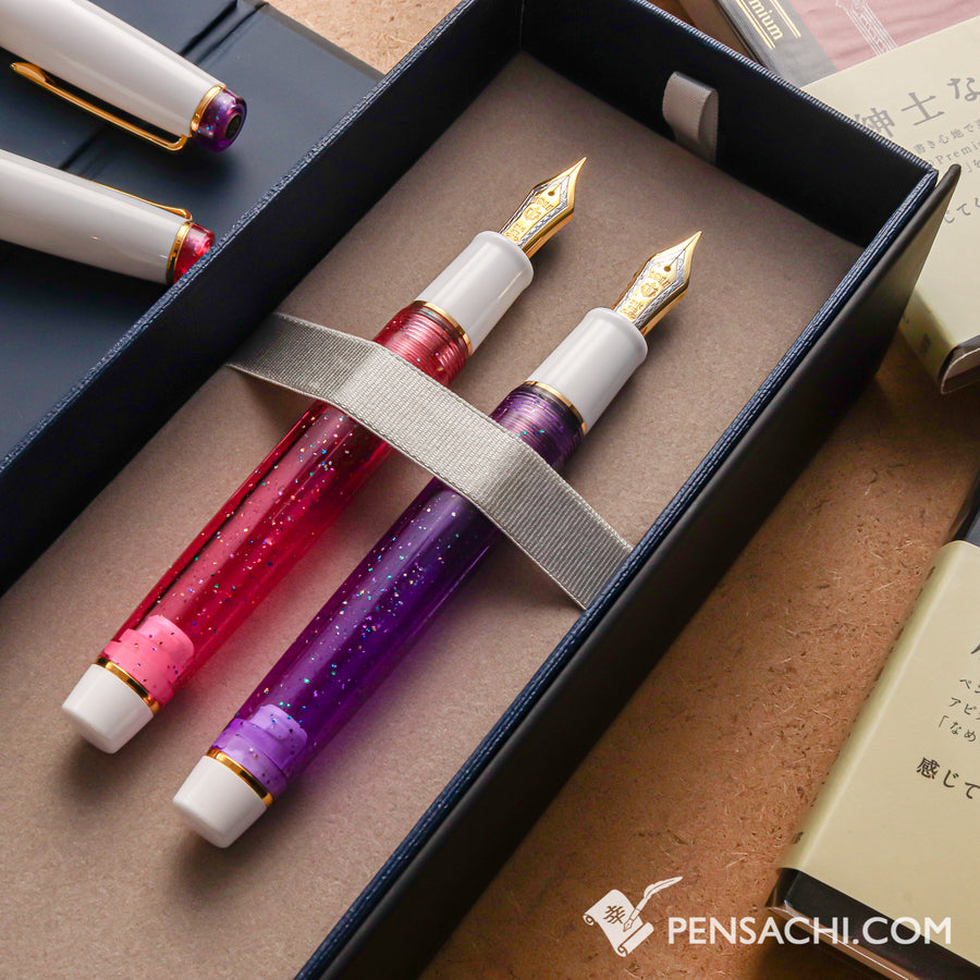 SAILOR Limited Edition Pro Gear Sparkling Set - Royal Purple and Rose Pink - PenSachi Japanese Limited Fountain Pen