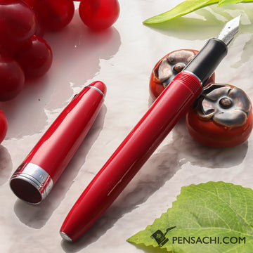 PILOT Custom NS Fountain Pen - Red - PenSachi Japanese Limited Fountain Pen