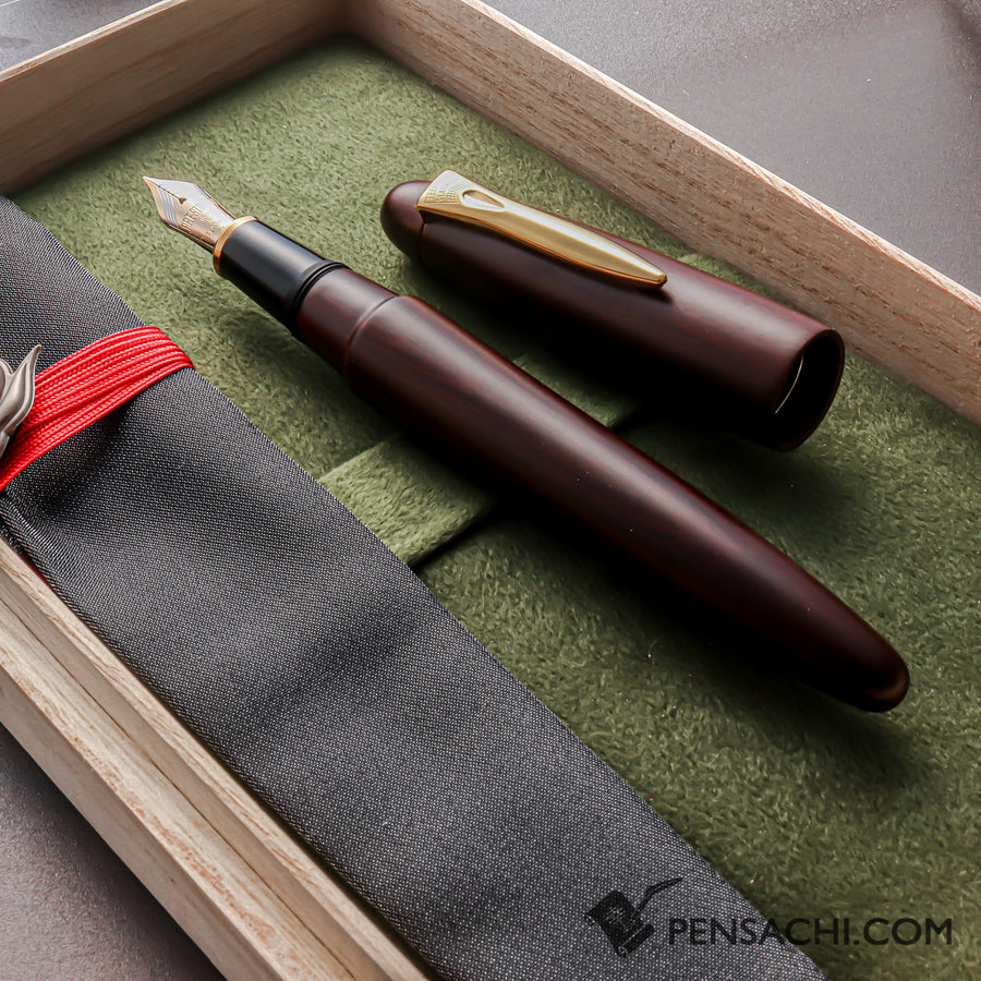 PLATINUM Izumo Tagayasan Fountain Pen - Matte Black - PenSachi Japanese Limited Fountain Pen