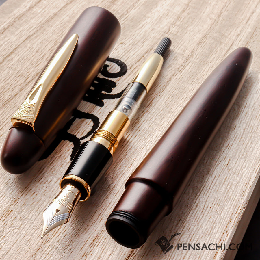 PLATINUM Izumo Tagayasan Fountain Pen - Matte Black - PenSachi Japanese Limited Fountain Pen