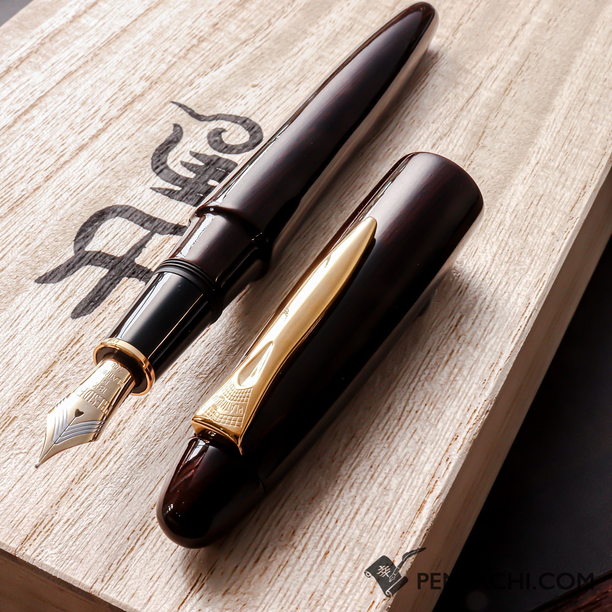 PLATINUM Izumo Tagayasan Fountain Pen - Gloss Black | PenSachi