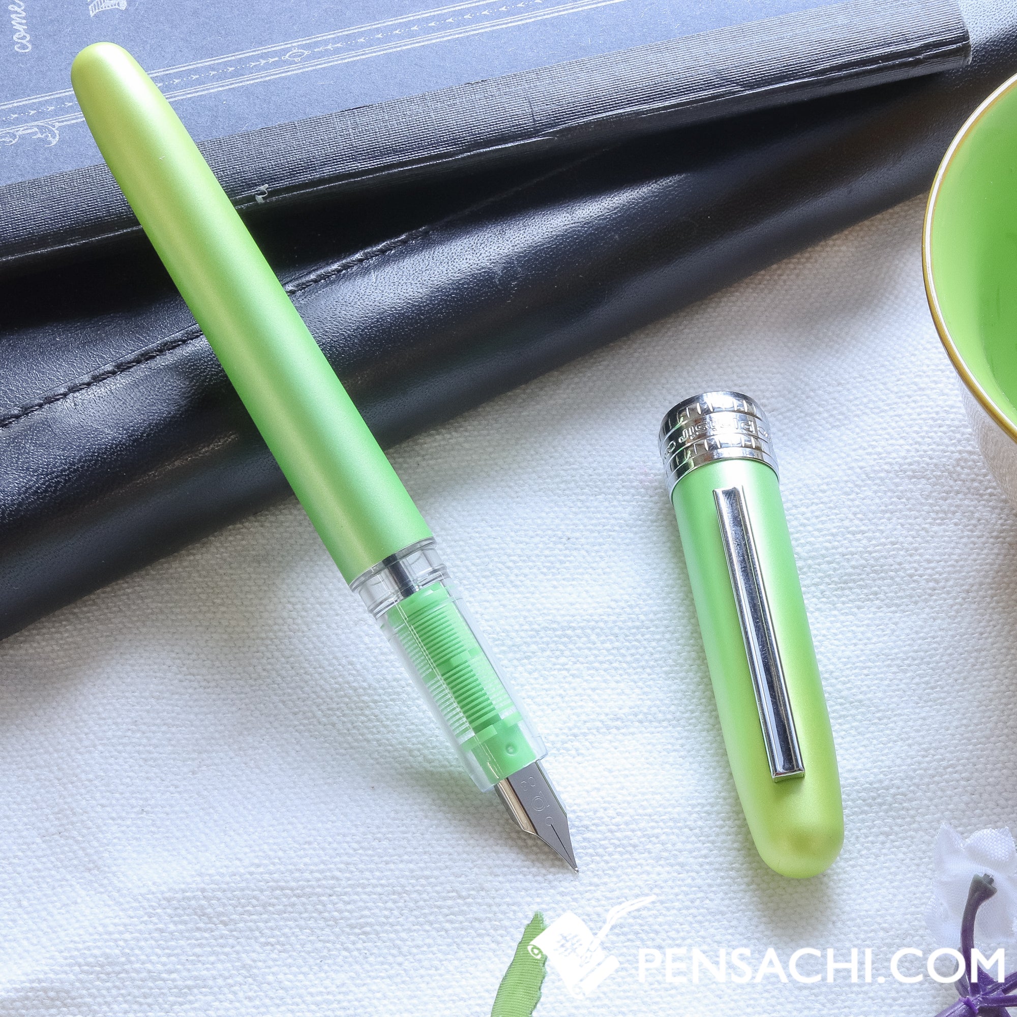 プラチナ万年筆PLAISIR10周年特別限定モデル　カントリーサンシャイン PLATINUM Plaisir Fountain Pen 10th Year anniversary- Country