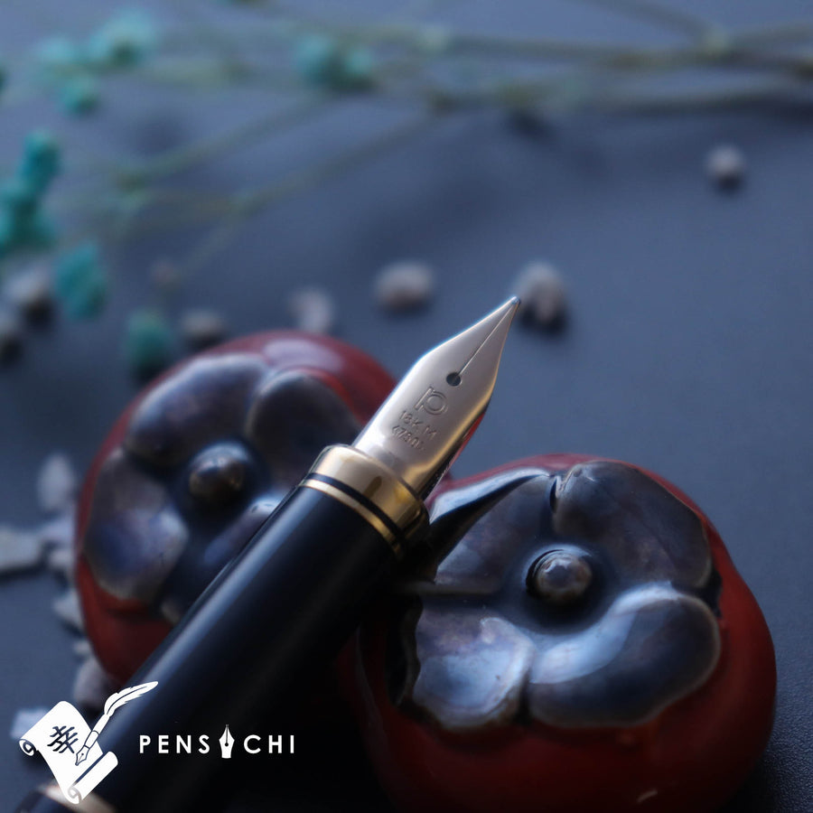 PLATINUM Kanazawa Haku Standard Fountain Pen - Changing Autumn Leaves - PenSachi Japanese Limited Fountain Pen