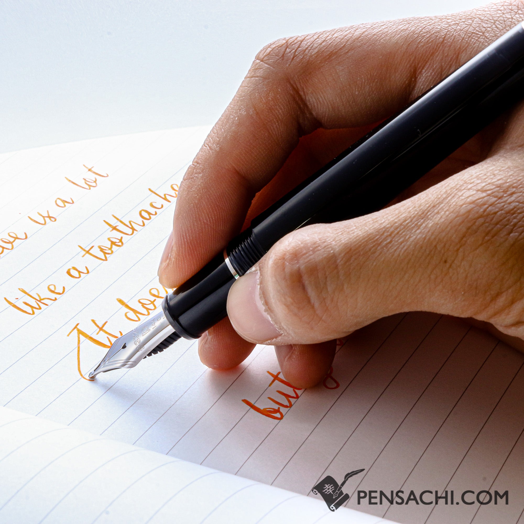 PLATINUM #3776 Century Rhodium Fountain Pen - Black Diamond