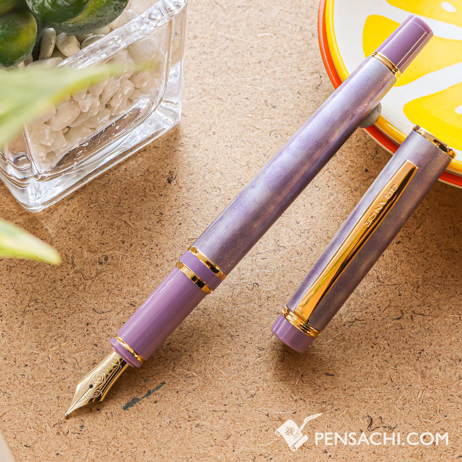 PILOT Grance Fountain Pen - Marble Violet - PenSachi Japanese Limited Fountain Pen