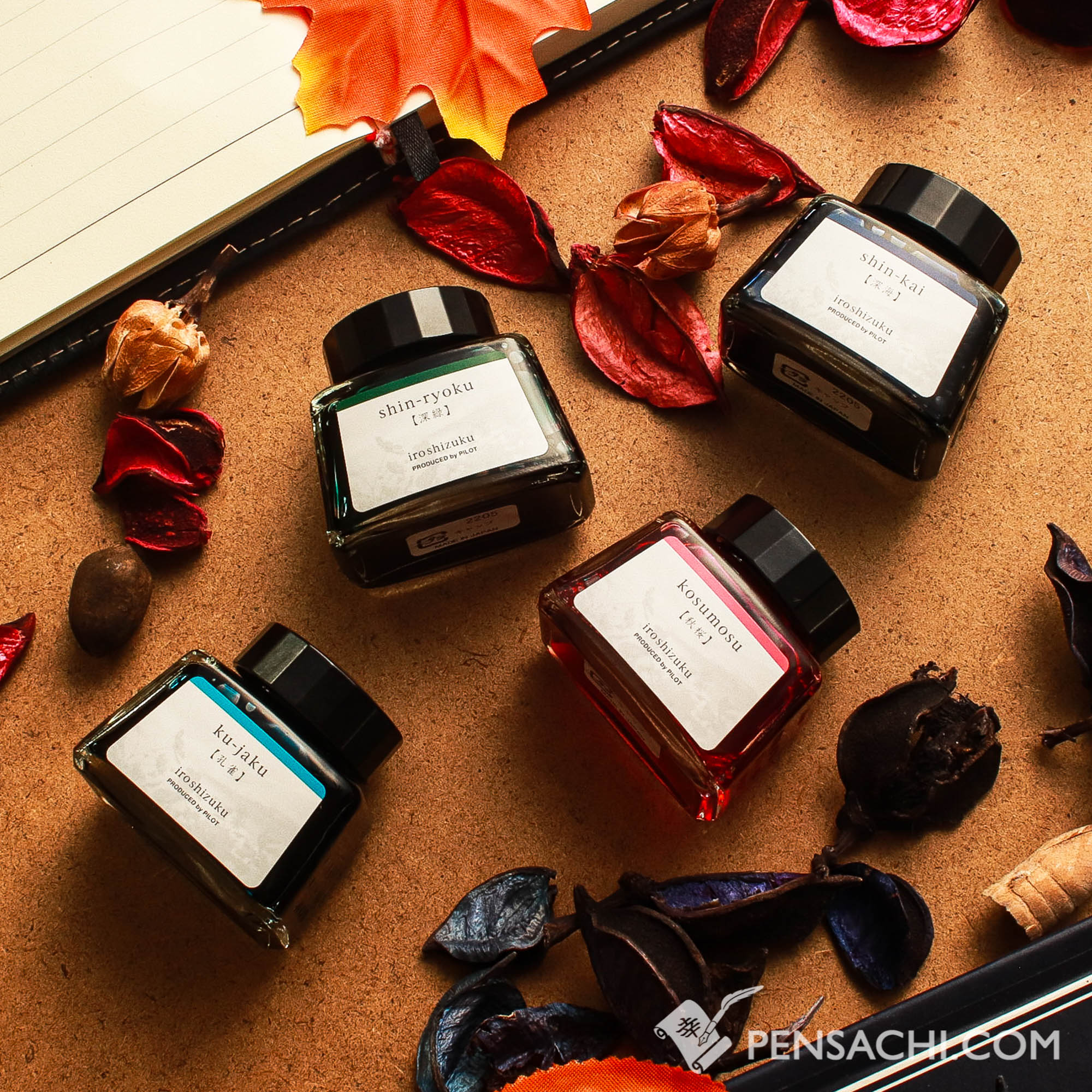 Pilot Limited Edition Iroshizuku Ink 4 Color Set - Shoko (Dawn