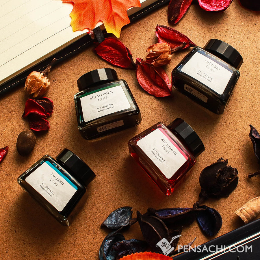 Pilot Limited Edition Iroshizuku Ink 4 Color Set - Shokou (Dawn)