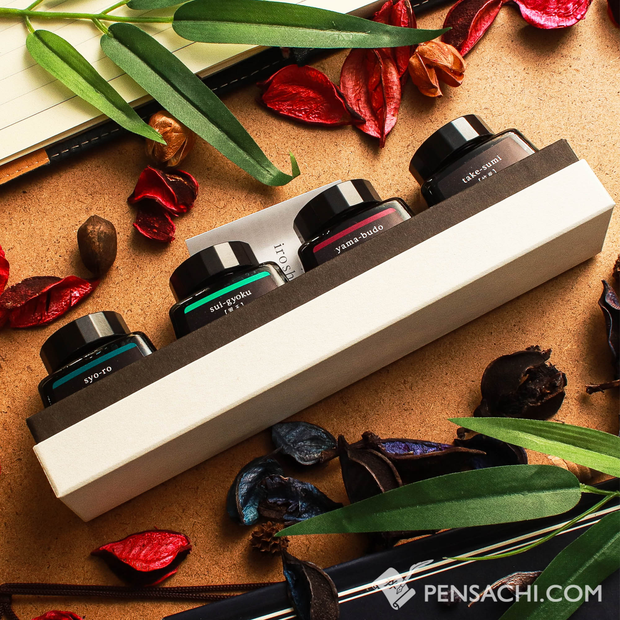 Pilot Limited Edition Iroshizuku Ink 4 Color Set - Yoi (Early