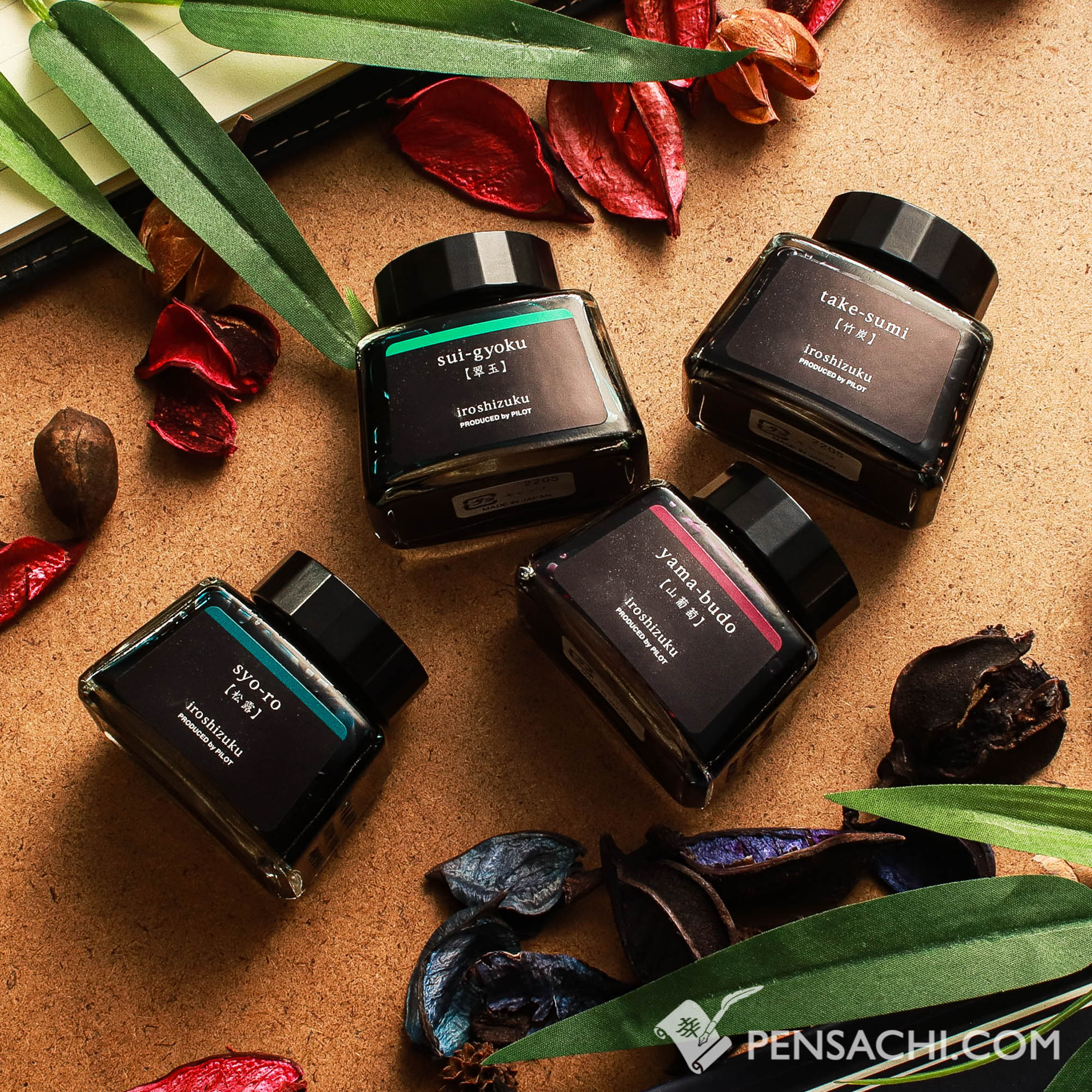 Pilot Limited Edition Iroshizuku Ink 4 Color Set - Yoi (Early
