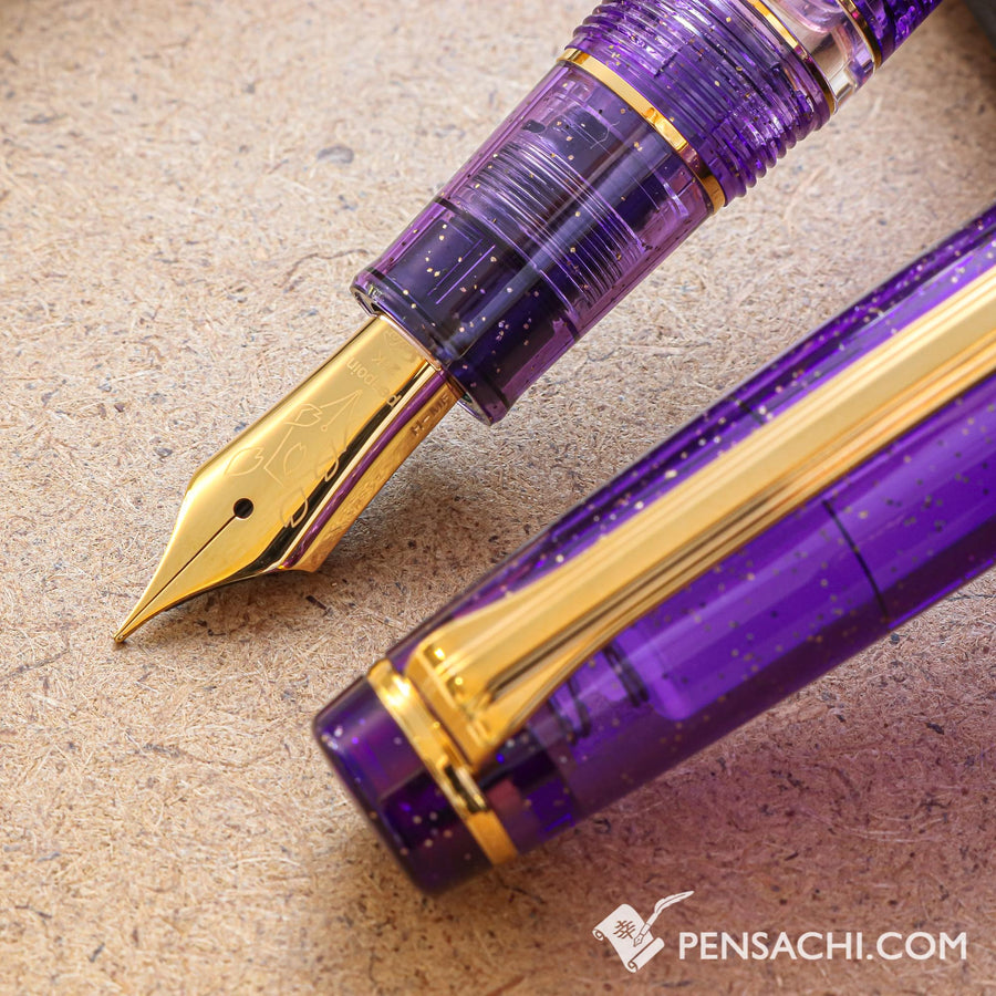 SAILOR Limited Edition Pro Gear Realo Fountain Pen - Iris Flower - PenSachi Japanese Limited Fountain Pen