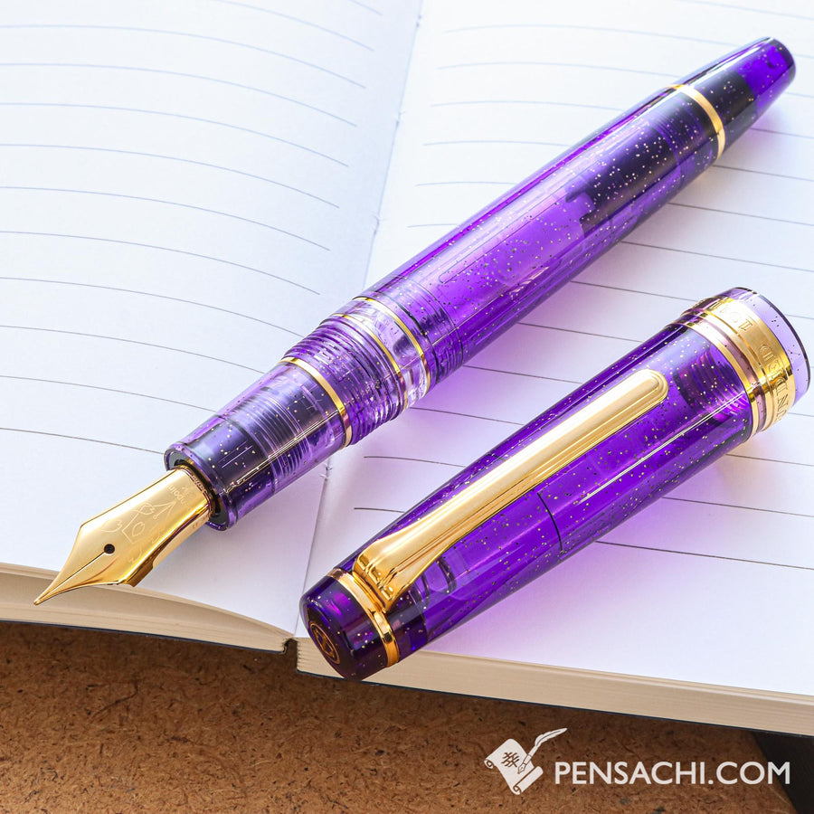 SAILOR Limited Edition Pro Gear Realo Fountain Pen - Iris Flower - PenSachi Japanese Limited Fountain Pen