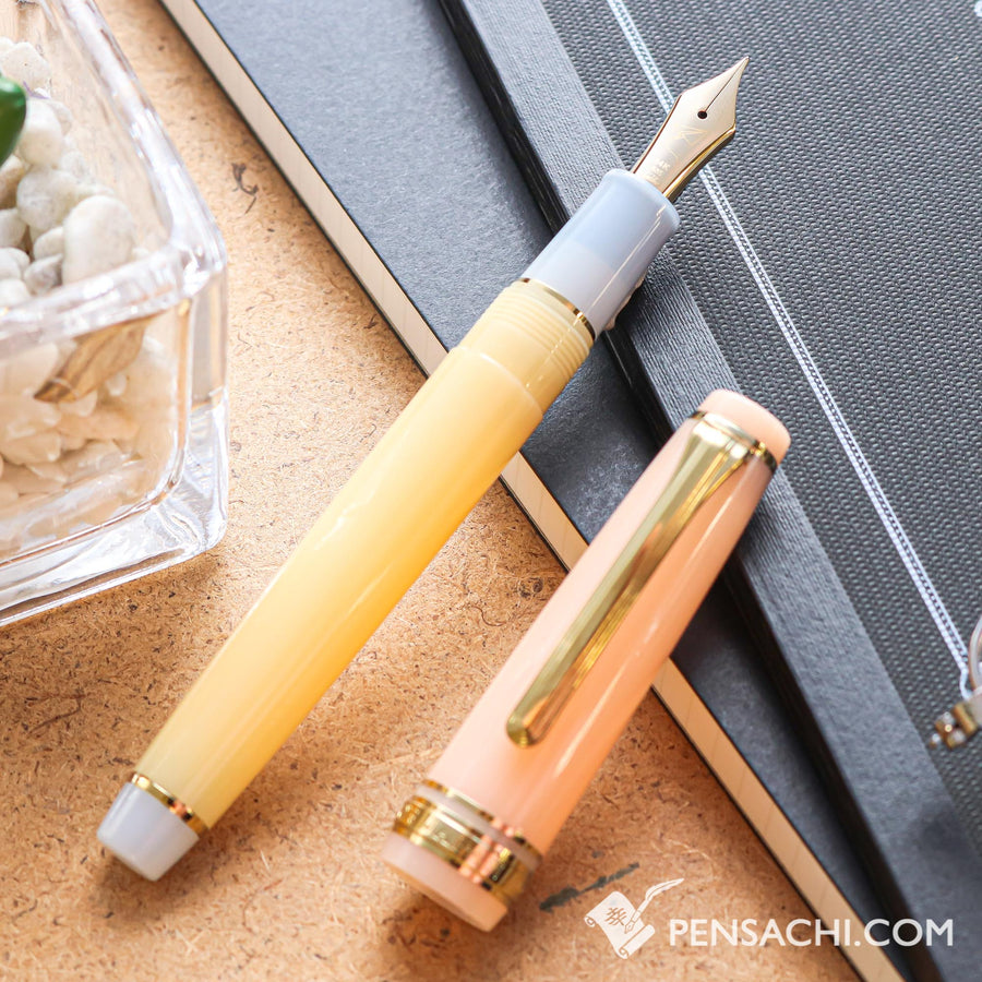 SAILOR Limited Edition Pro Gear Slim Fountain Pen - Evening Glow - PenSachi Japanese Limited Fountain Pen