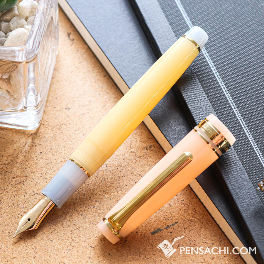 SAILOR Limited Edition Pro Gear Slim Fountain Pen - Evening Glow - PenSachi Japanese Limited Fountain Pen