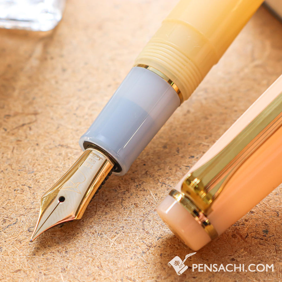 SAILOR Limited Edition Pro Gear Slim Fountain Pen - Evening Glow - PenSachi Japanese Limited Fountain Pen