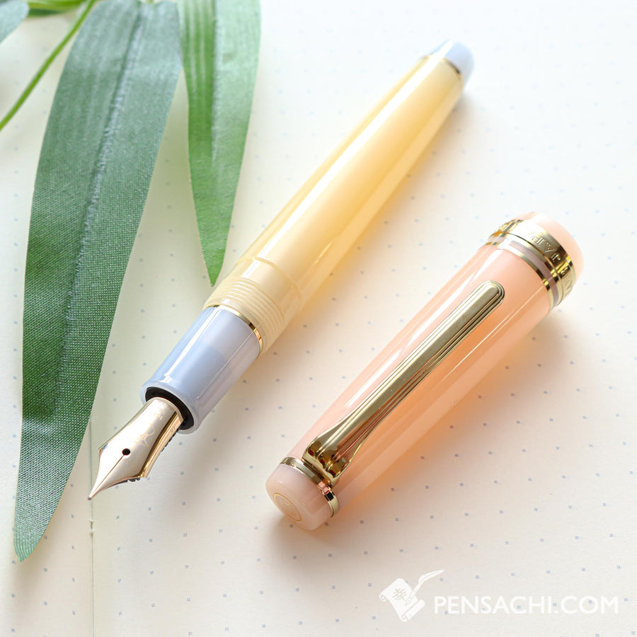 SAILOR Limited Edition Pro Gear Slim Fountain Pen - Evening Glow - PenSachi Japanese Limited Fountain Pen