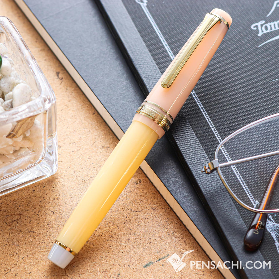 SAILOR Limited Edition Pro Gear Slim Fountain Pen - Evening Glow - PenSachi Japanese Limited Fountain Pen