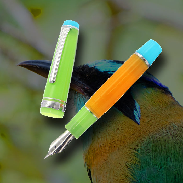 SAILOR Limited Edition Professional Gear Mini Fountain Pen - Turquoise browed Motmot - PenSachi Japanese Limited Fountain Pen