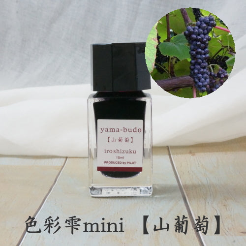 Pilot Iroshizuku Ink 15 ml - PenSachi Japanese Limited Fountain Pen