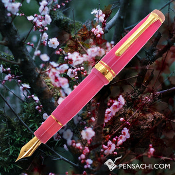 SAILOR Limited Edition Professional Gear Mini Fountain Pen -  Sakura - PenSachi Japanese Limited Fountain Pen